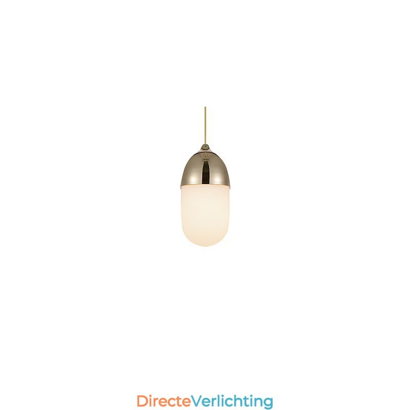 Mini Acorn Hanglamp 1 Licht Moderne Eenvoud Gouden Chroom Houten Kleur Afwerking Koolstofstaal & Glas Hanglamp