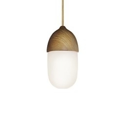 Mini Acorn Hanglamp 1 Licht Moderne Eenvoud Gouden Chroom Houten Kleur Afwerking Koolstofstaal & Glas Hanglamp