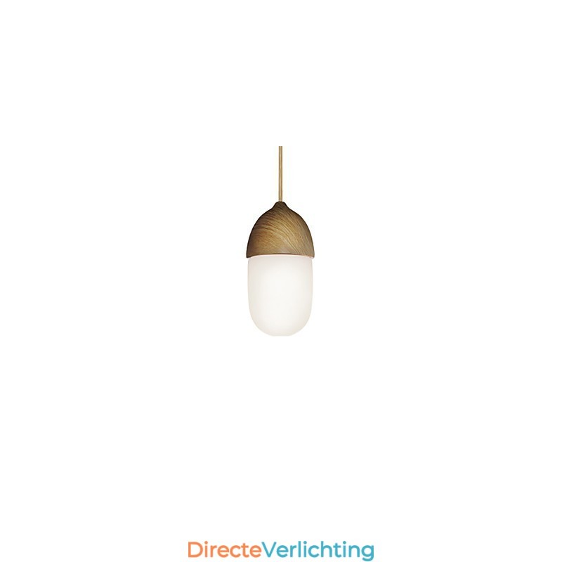 Mini Acorn Hanglamp 1 Licht Moderne Eenvoud Gouden Chroom Houten Kleur Afwerking Koolstofstaal & Glas Hanglamp