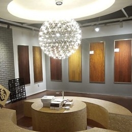 Hedendaagse kroonluchter creatieve ronde hanglamp lamp licht