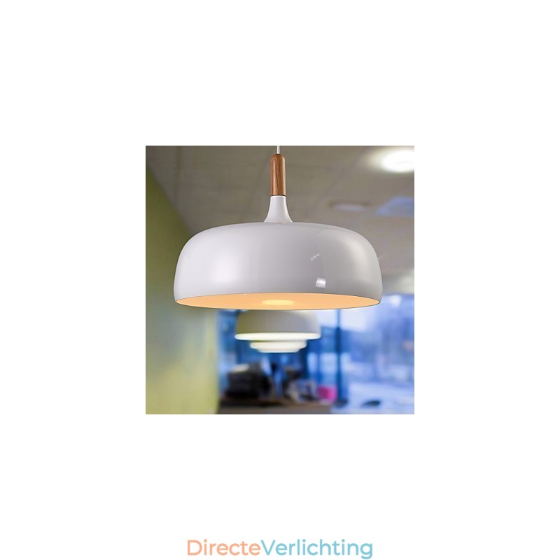 Moderne, eigentijdse landelijke metalen hanglamp
