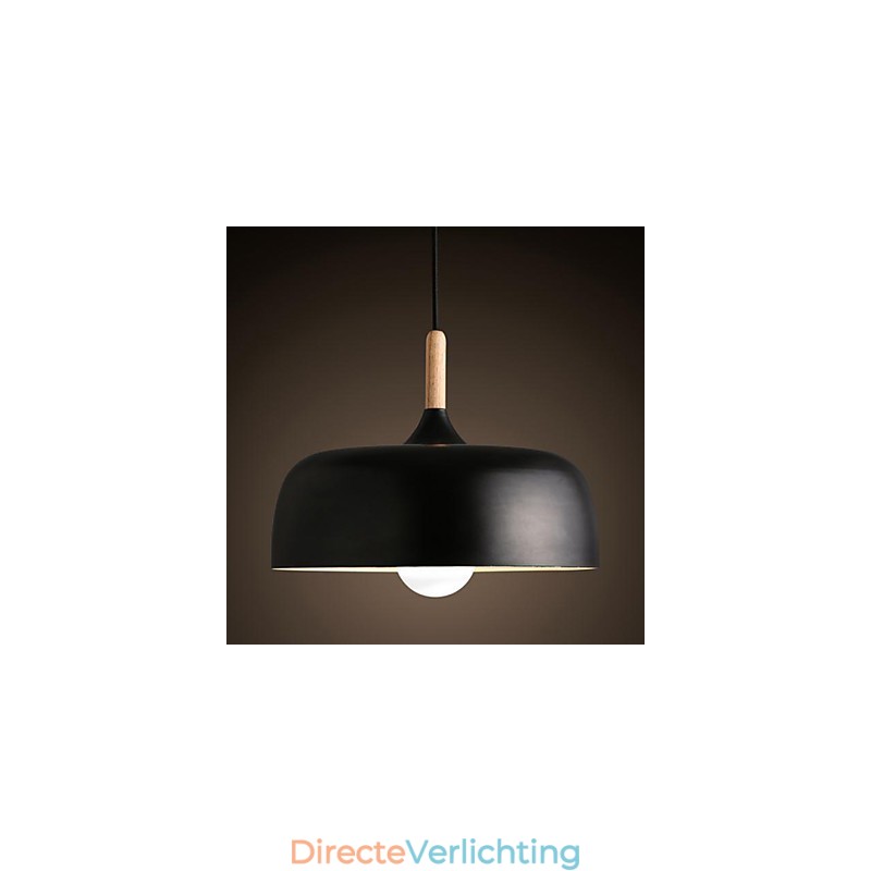 Moderne, eigentijdse landelijke metalen hanglamp