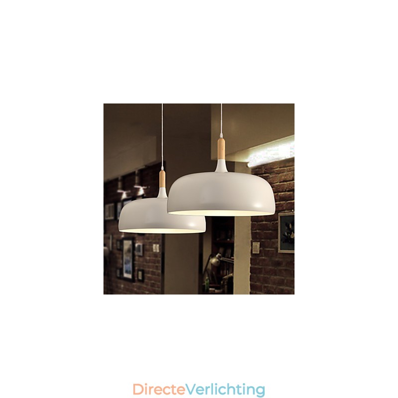 Moderne, eigentijdse landelijke metalen hanglamp