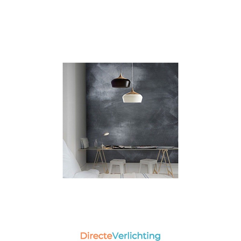 Vintage Retro Mini Stijl Schilderij Metalen Hanglamp