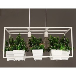 Moderne, eigentijdse decoratieve design hanglamp (planten niet inbegrepen)