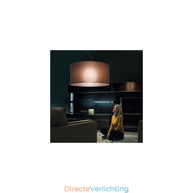 Klassieke stijl ijzeren plafondlamp met kap