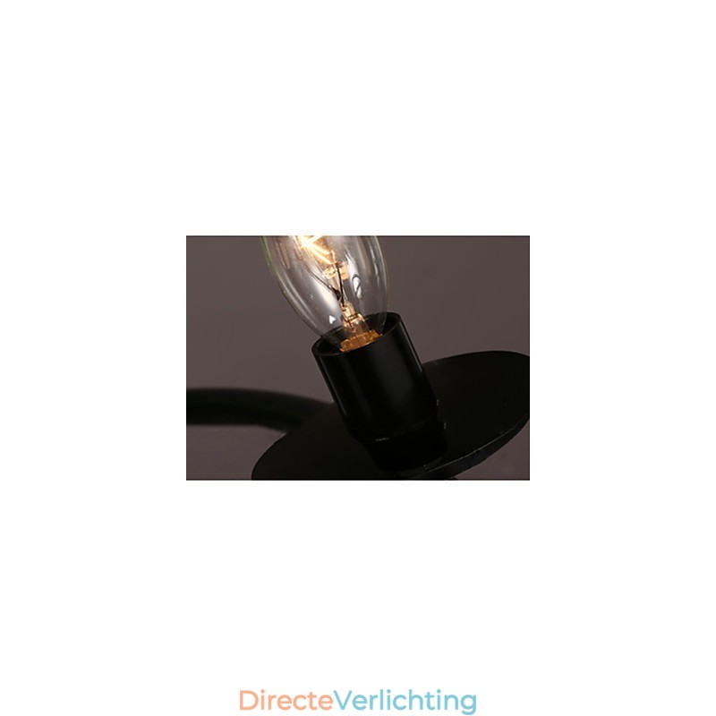 Moderne, eigentijdse decoratieve design hanglamp (planten niet inbegrepen)