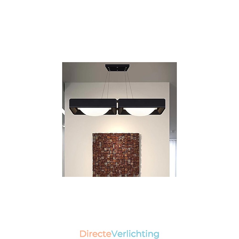 Hanglampen 2 Licht Modern Eenvoudig Artistiek