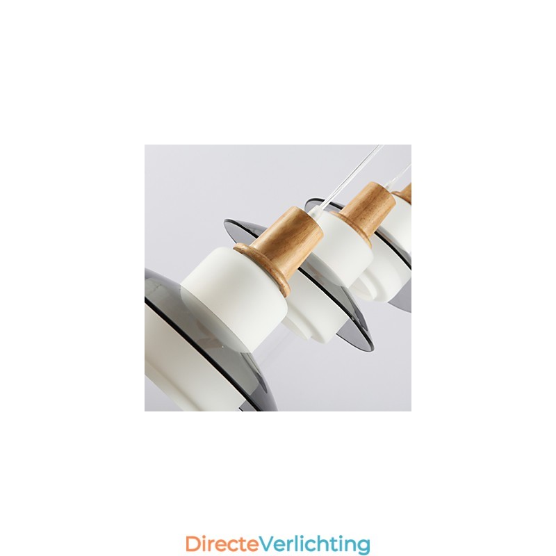 Hanglampen Mini Stijl Modern Hedendaags