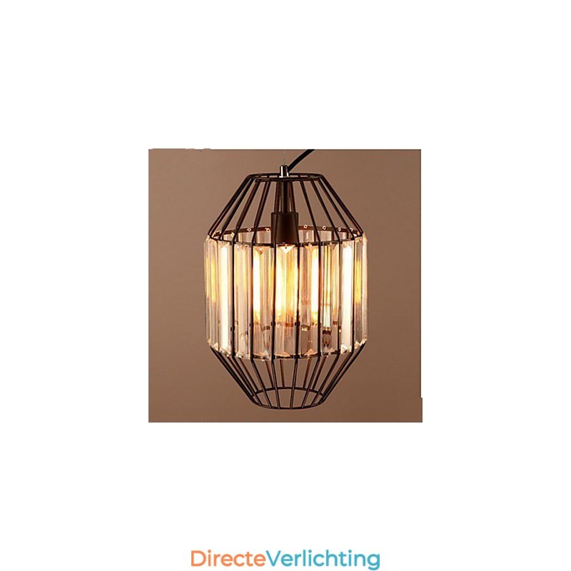 Amerikaanse Retro Creatieve Vogelkooi Hanger