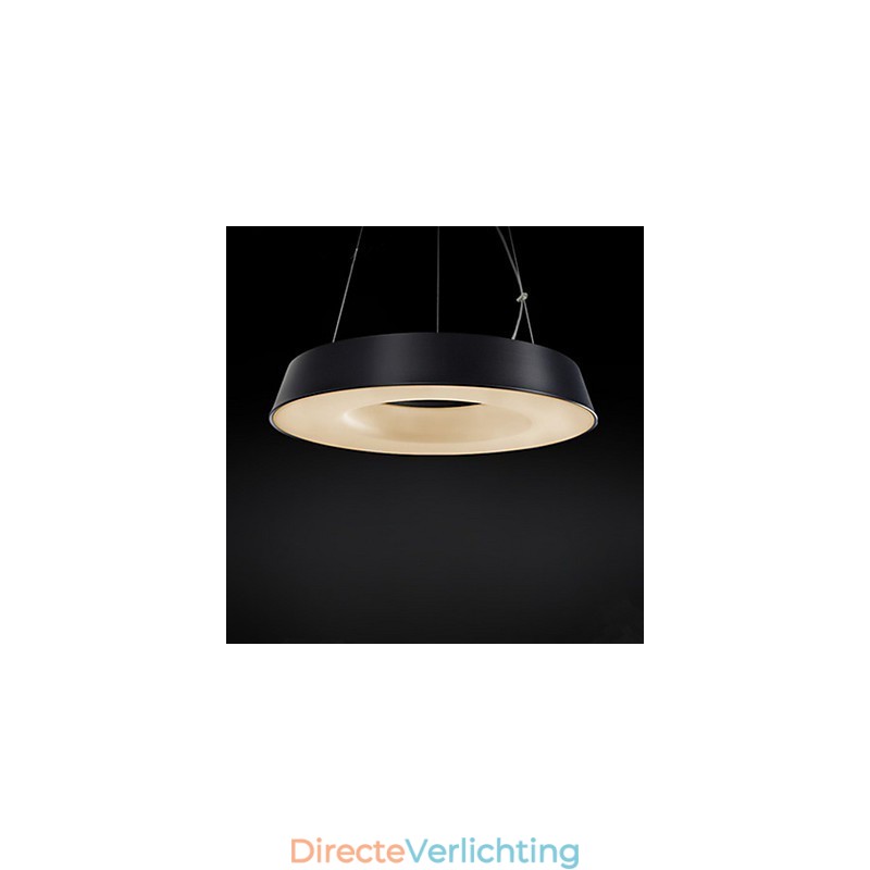 5 Moderne, eigentijdse metalen hanglamp met schilderij