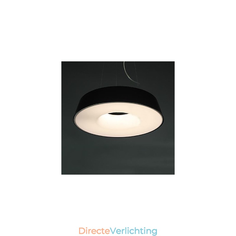 5 Moderne, eigentijdse metalen hanglamp met schilderij