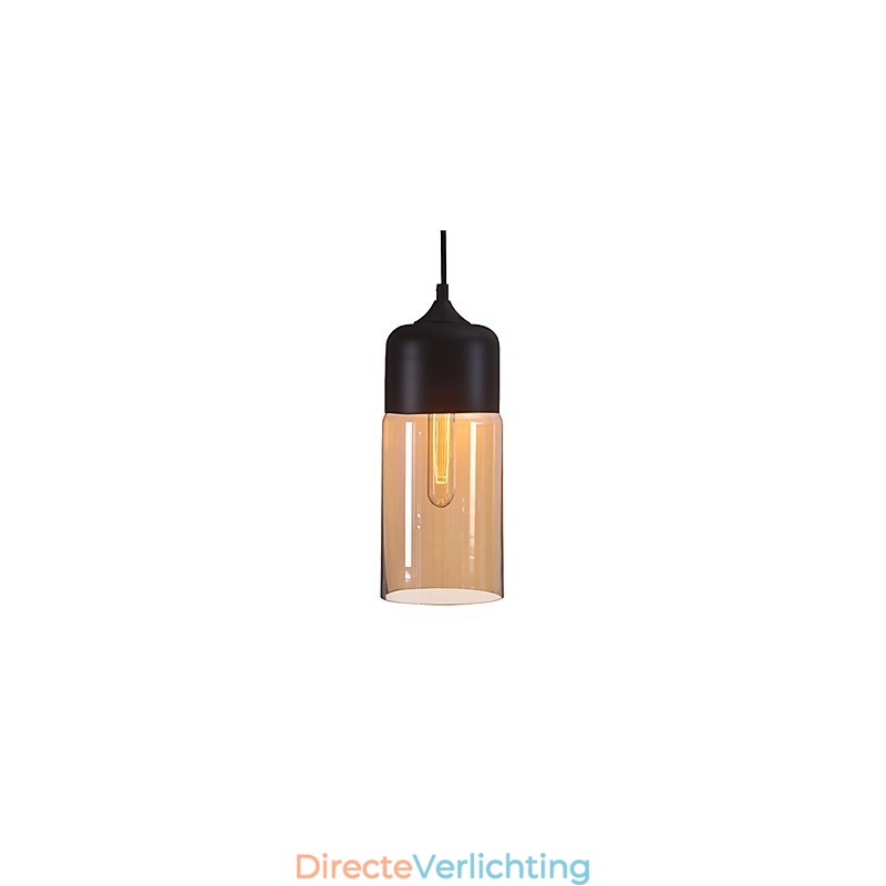 WestMenLights Elegante Flessenkap DIY Plafondlamp Glazen Hanglamp Edison Lamp Home