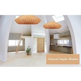 Moderne, eigentijdse landelijke metalen hanglamp