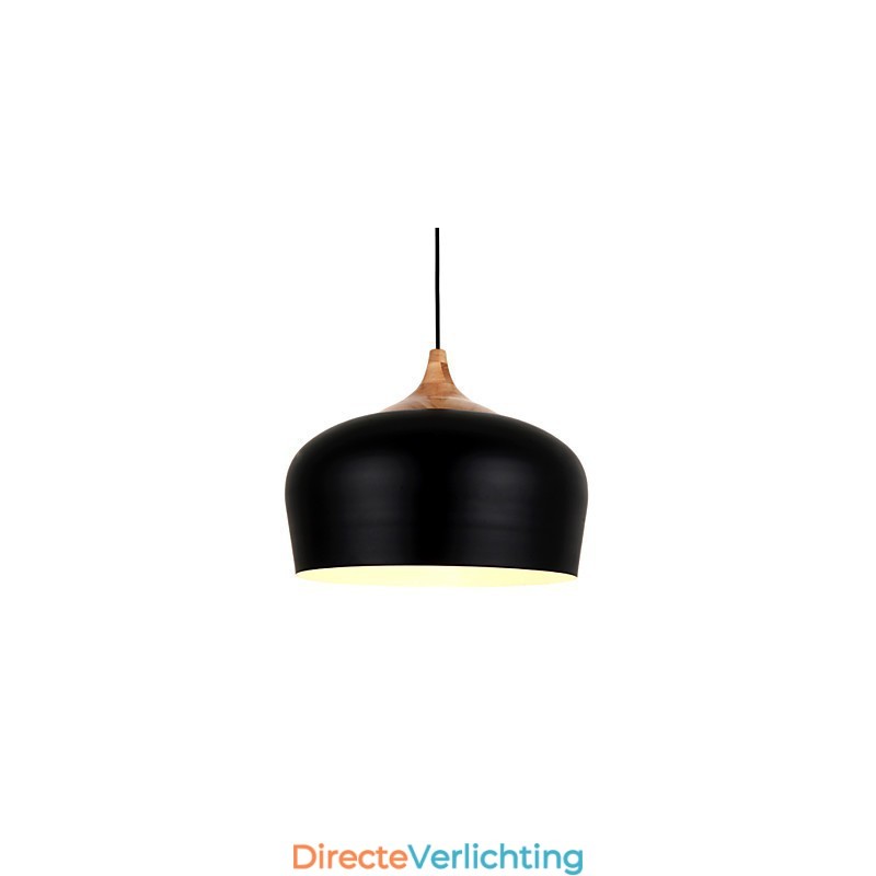 Hanglampen Modern Hedendaags Metaal