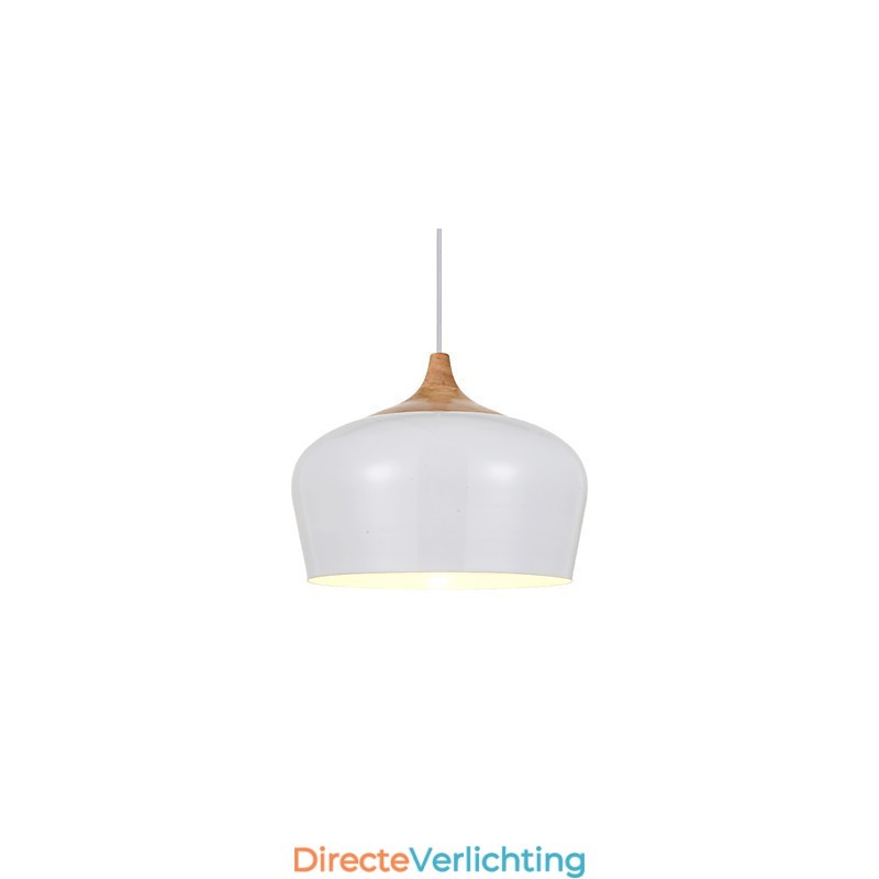 Hanglampen Modern Hedendaags Metaal