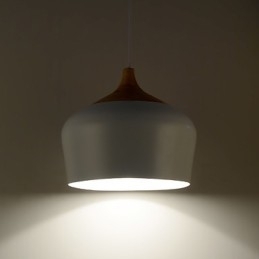 Hanglampen Modern Hedendaags Metaal