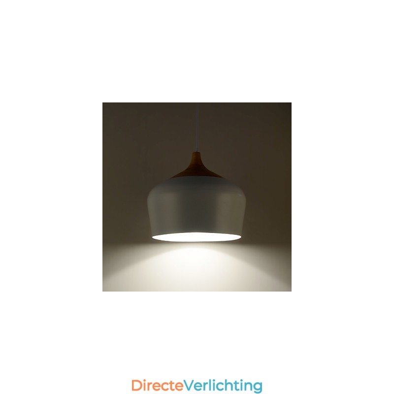 Hanglampen Modern Hedendaags Metaal
