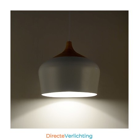 Hanglampen Modern Hedendaags Metaal Hanglampen Modern Hedendaags Metaal