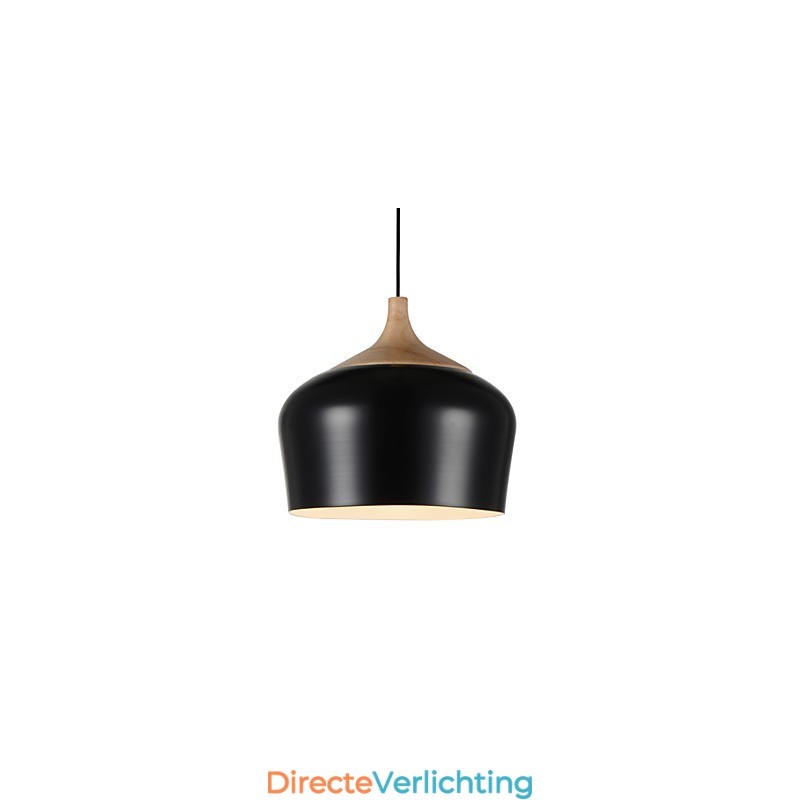 Hanglampen Modern Hedendaags Metaal