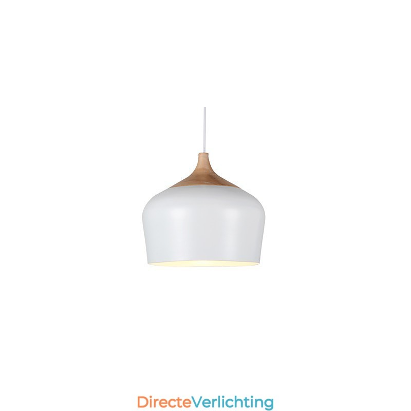 Hanglampen Modern Hedendaags Metaal