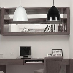 Moderne, eigentijdse metalen hanglamp met schilderij
