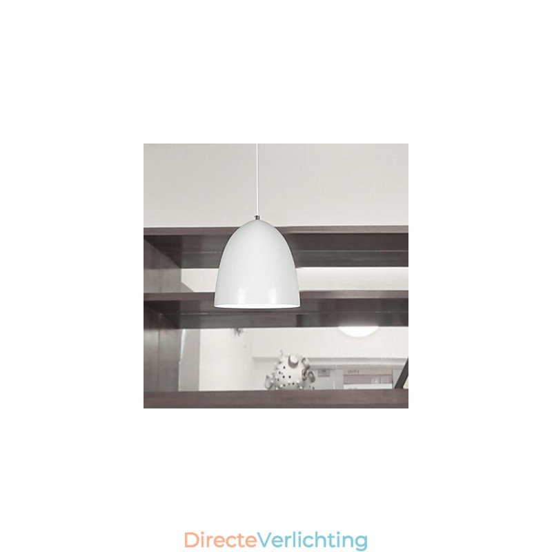 Moderne, eigentijdse metalen hanglamp met schilderij