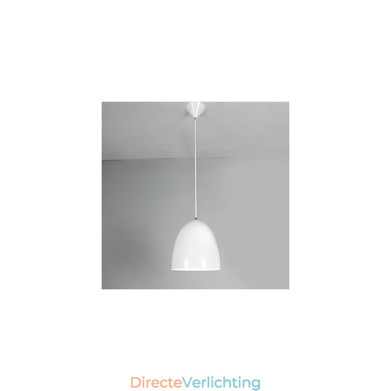 Moderne, eigentijdse metalen hanglamp met schilderij