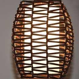 Cany Art Weaving Klassieke Gecontracteerde Hanglamp Lamp