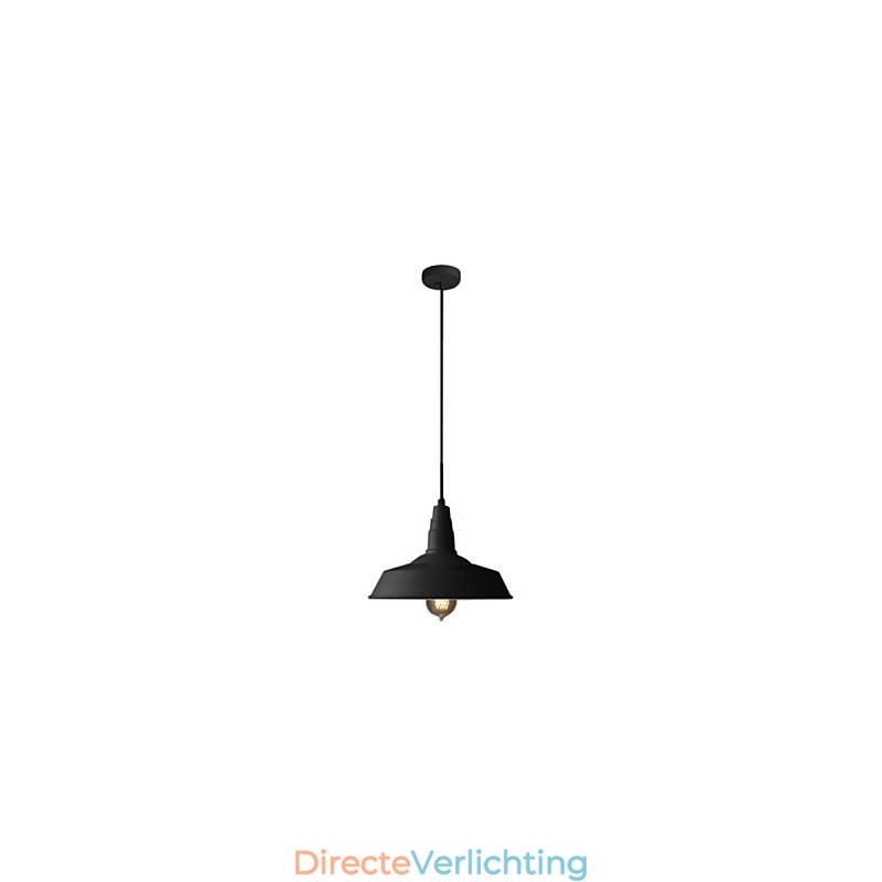 Vintage schilderij metalen hanglamp