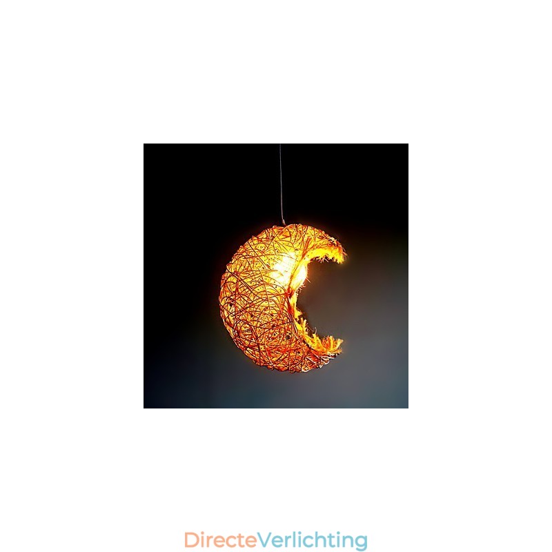 Moderne landelijke Cany Art geweven rotan enkele kop hanglamp