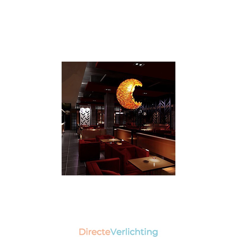 Moderne landelijke Cany Art geweven rotan enkele kop hanglamp