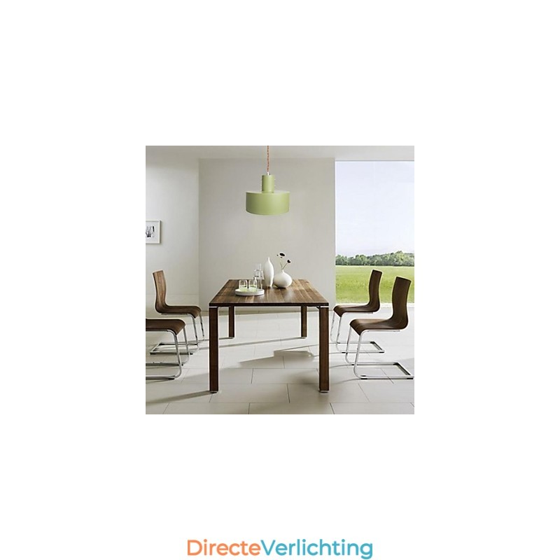 Moderne, eigentijdse, landelijke mini-stijl schilderij metalen hanglamp voor kinderen