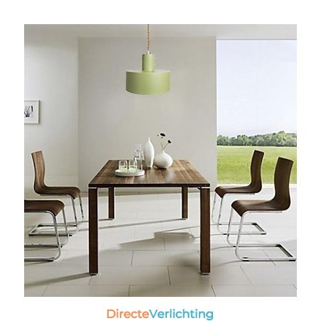 Moderne, eigentijdse, landelijke mini-stijl schilderij metalen hanglamp voor kinderen Moderne, eigentijdse, landelijke mini-stijl schilderij metalen hanglamp voor kinderen