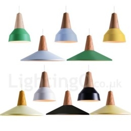 1 Lichts Moderne Hedendaagse Houten Hanglamp