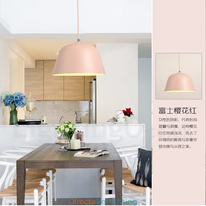1 Lichts Moderne Hedendaagse Hanglamp