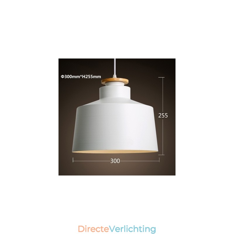 Moderne, eigentijdse metalen hanglamp