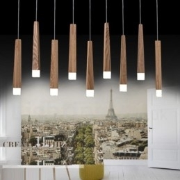 1 Lichts Moderne Hedendaagse Houten Hanglamp
