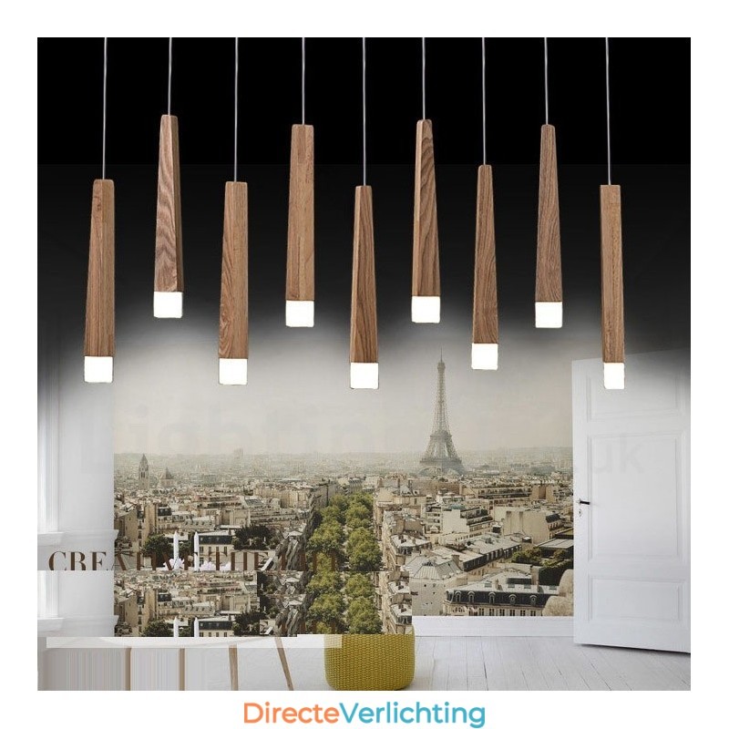 1 Lichts Moderne Hedendaagse Houten Hanglamp