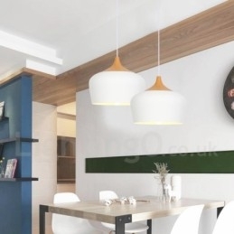 Moderne, eigentijdse hanglamp met 1 lichtbron