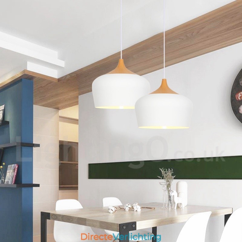 Moderne, eigentijdse hanglamp met 1 lichtbron