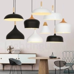 Moderne, eigentijdse hanglamp met 1 lichtbron