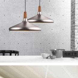 Moderne, eigentijdse metalen hanglamp met 1 licht