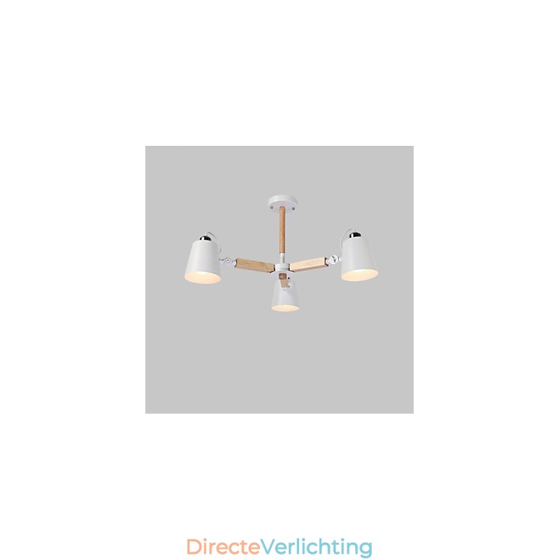 Vintage schilderijfunctie voor metalen kroonluchter