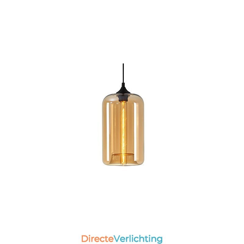 Flesontwerp Hanglamp 1 Licht Minimalistisch IJzeren Schilderij