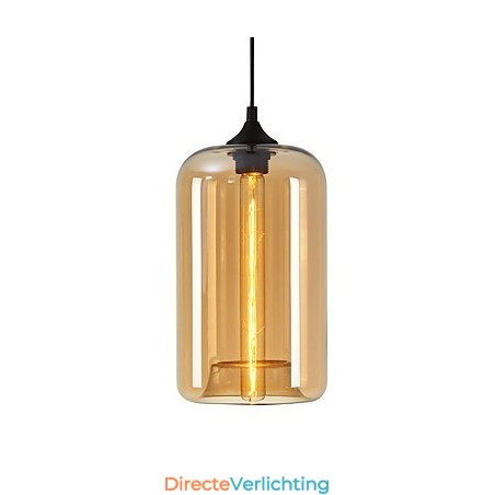 Flesontwerp Hanglamp 1 Licht Minimalistisch IJzeren Schilderij Flesontwerp Hanglamp 1 Licht Minimalistisch IJzeren Schilderij