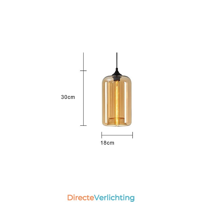 Flesontwerp Hanglamp 1 Licht Minimalistisch IJzeren Schilderij