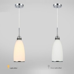 1 Lichts Moderne Hedendaagse Geïntegreerde Metalen Hanglamp