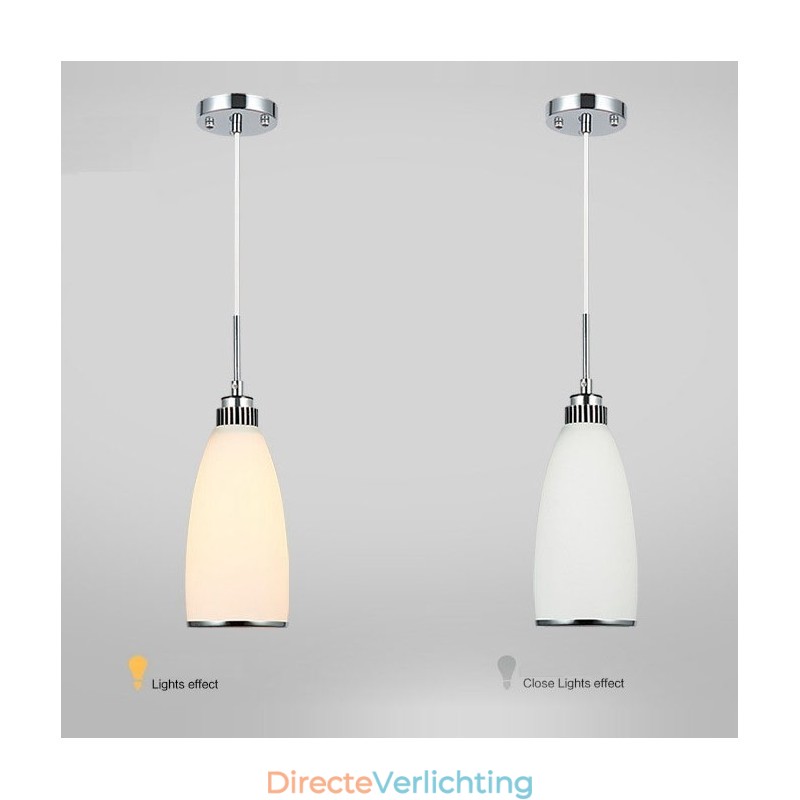 1 Lichts Moderne Hedendaagse Geïntegreerde Metalen Hanglamp