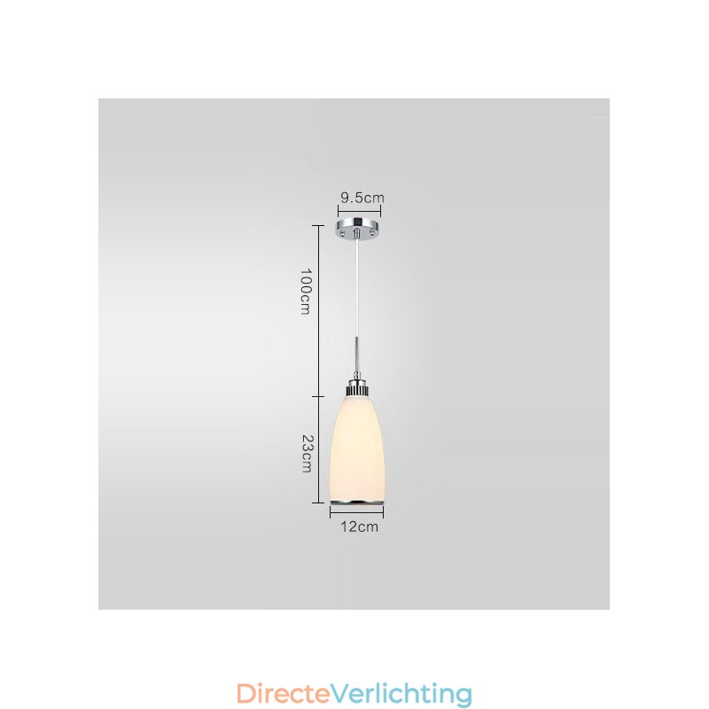 1 Lichts Moderne Hedendaagse Geïntegreerde Metalen Hanglamp